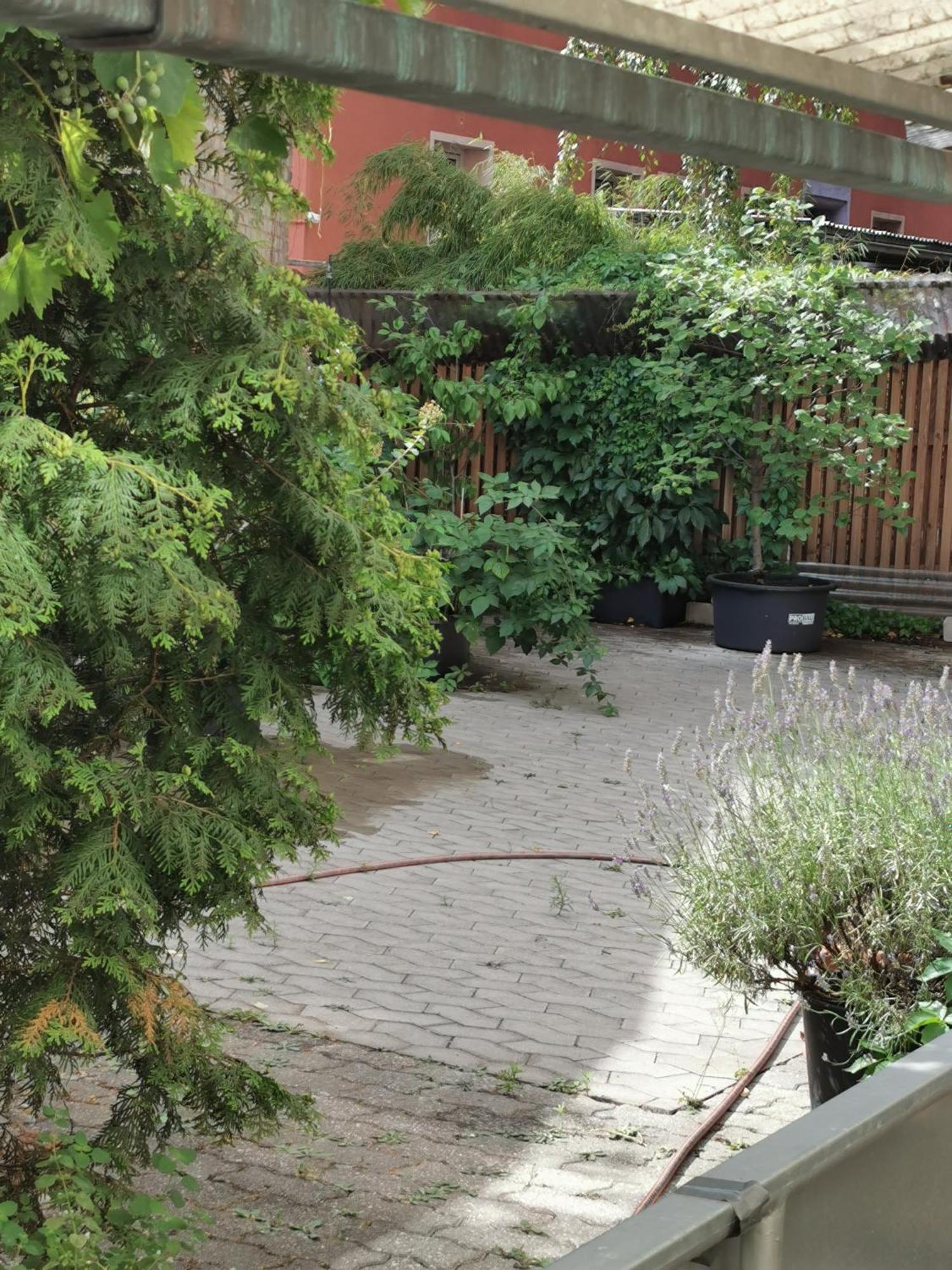 Homestay Nuernberg Экстерьер фото
