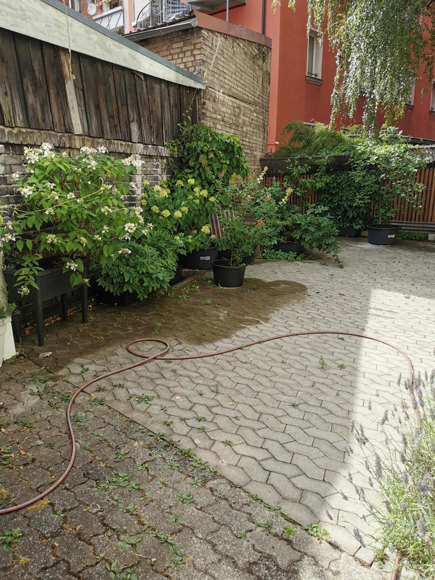 Homestay Nuernberg Экстерьер фото